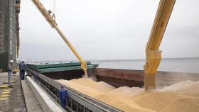 Российские цены на зерно в целом падают – обзор
